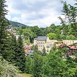 U Svycarskeho Dvora Iii By Interhome * Janské Lázně