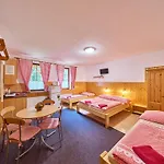 U Svycarskeho Dvora Iii By Interhome Apartman Janské Lázně