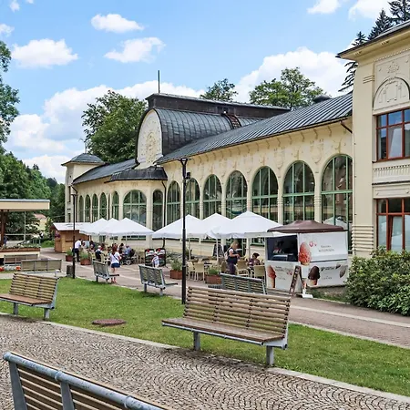 公寓 U Svycarskeho Dvora Iii By Interhome