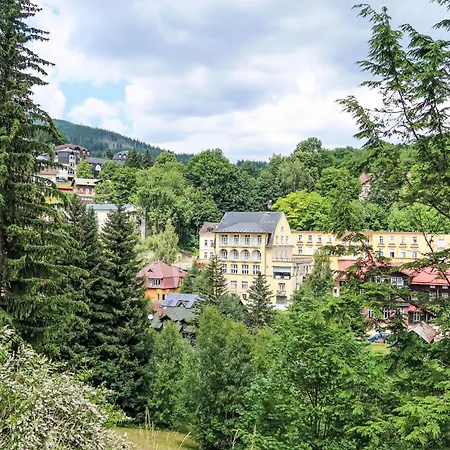 U Svycarskeho Dvora Iii By Interhome * 扬斯凯拉兹涅