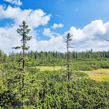 U Svycarskeho Dvora Iii By Interhome 公寓 *