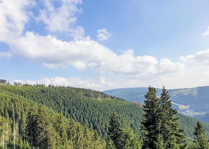 Apartament U Svycarskeho Dvora Iii By Interhome Jańskie Łaźnie