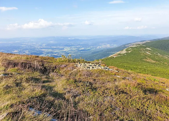 Apartament U Svycarskeho Dvora Iii By Interhome